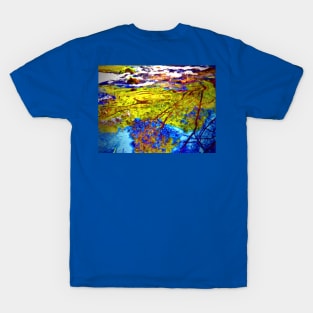 Reflections in Water T-Shirt